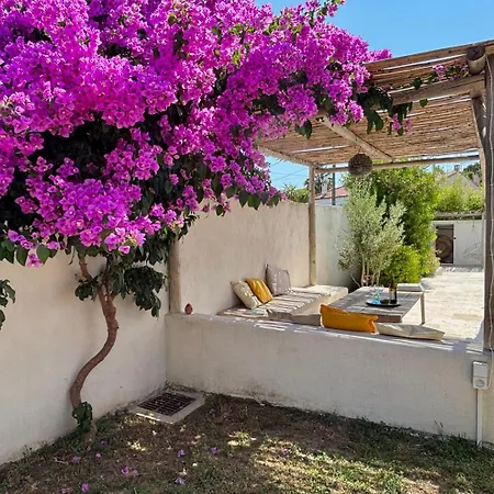 Solea, Piscine Et Mediterranee Titre Fr * Béziers
