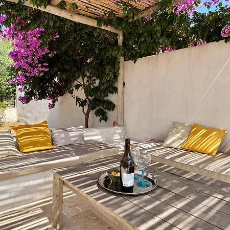 Solea, Piscine Et Mediterranee Titre Fr Béziers