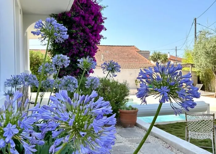 Solea, Piscine Et Mediterranee Titre Fr Villa *